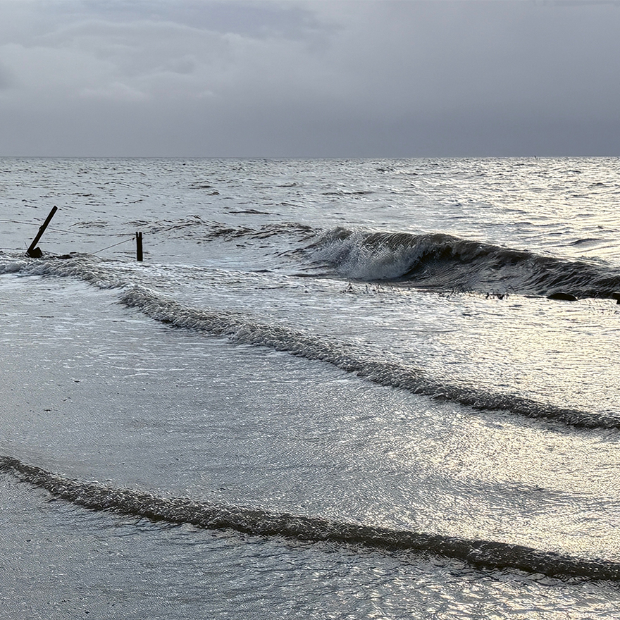 Sonerboor&nbsp;• Ein Hallig-Bestiarium, 2026